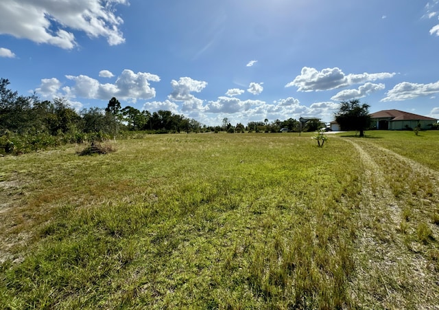 view of local wilderness with a rural view