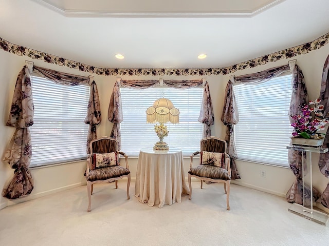 living area with carpet floors