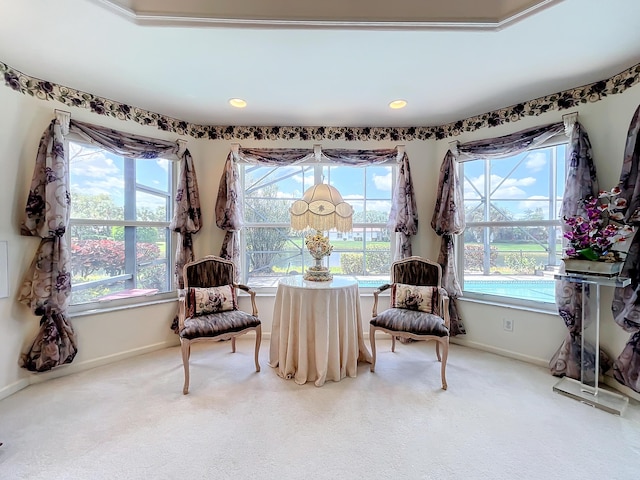 sitting room featuring carpet flooring and a wealth of natural light