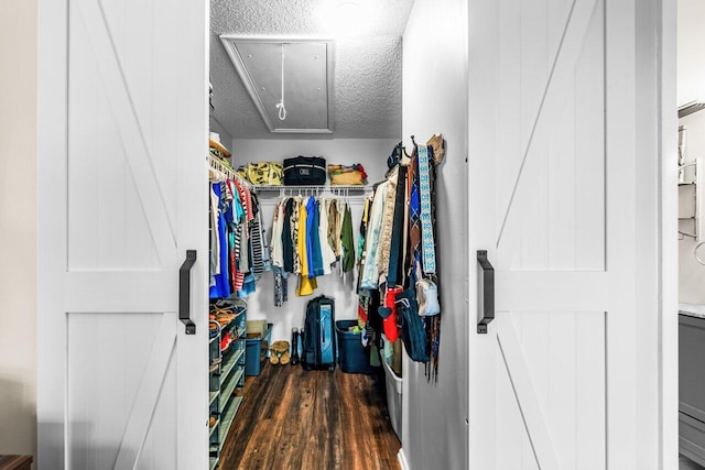 walk in closet with dark wood-type flooring