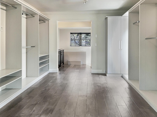 spacious closet with dark wood-type flooring