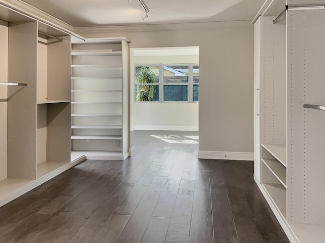 walk in closet featuring dark hardwood / wood-style floors