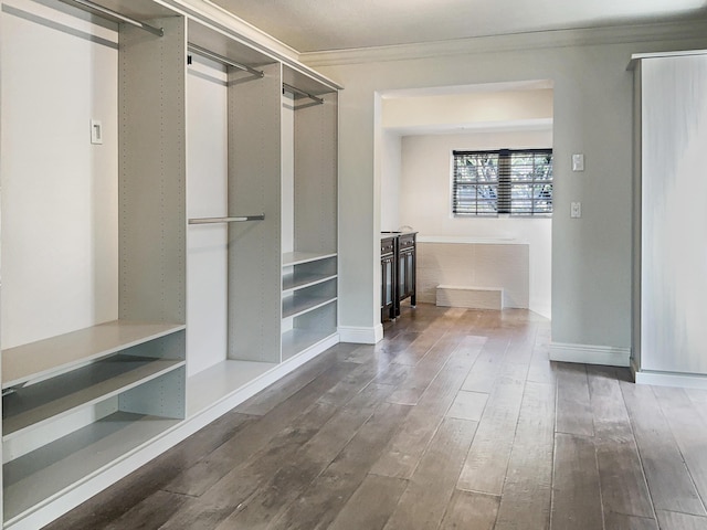 spacious closet featuring wood-type flooring