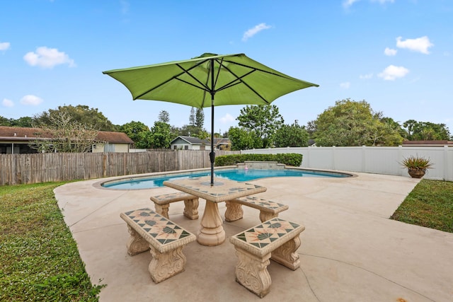 view of swimming pool featuring a patio