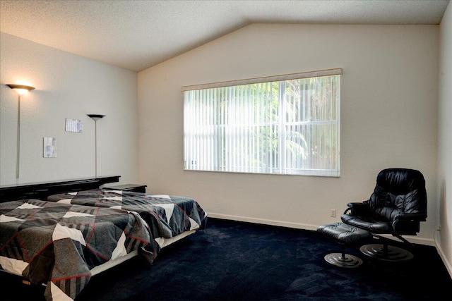 bedroom with dark colored carpet and lofted ceiling