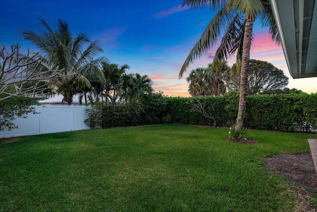 view of yard at dusk