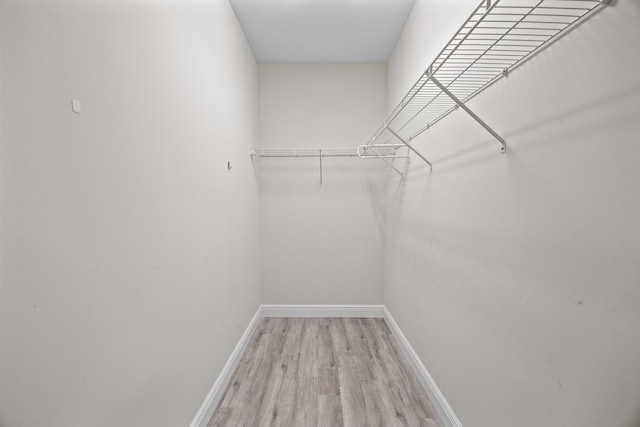 spacious closet featuring light hardwood / wood-style floors