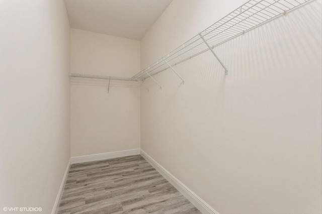walk in closet with light wood-type flooring