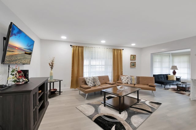 living room featuring light hardwood / wood-style flooring