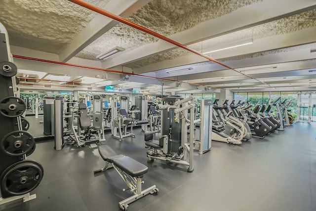 exercise room with a wall of windows