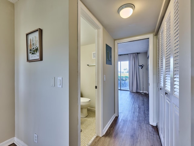 hallway with wood-type flooring