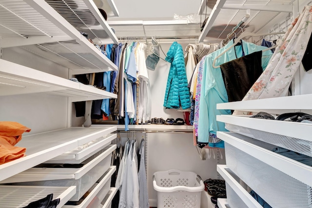 view of walk in closet