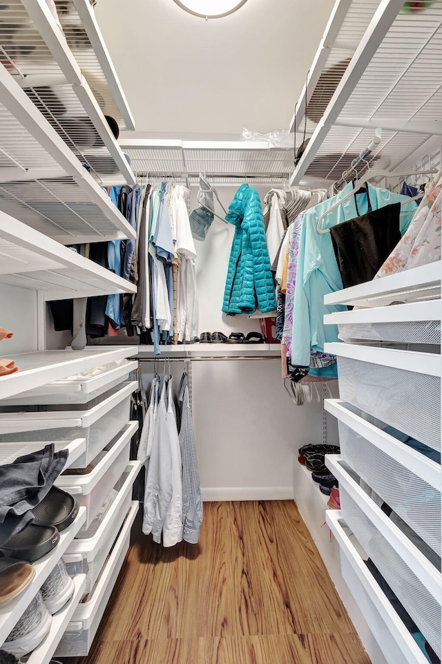 spacious closet featuring hardwood / wood-style flooring