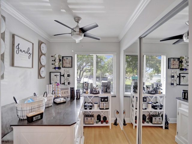 office featuring ceiling fan, light hardwood / wood-style flooring, and crown molding