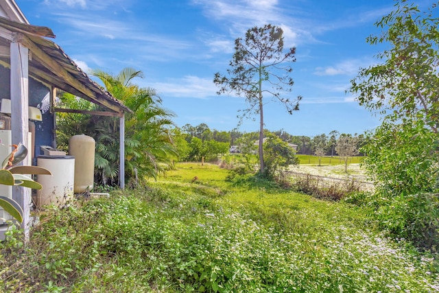 view of yard featuring a rural view