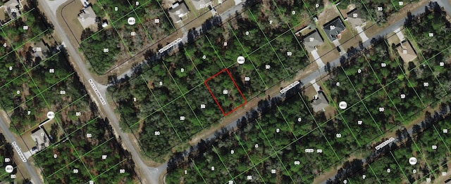 245 W Ruska Pl, Citrus Springs FL, 34434 land for sale