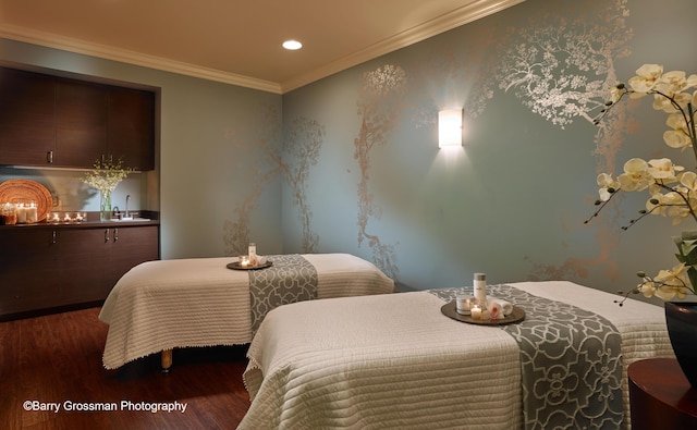 bedroom with crown molding, sink, and dark wood-type flooring