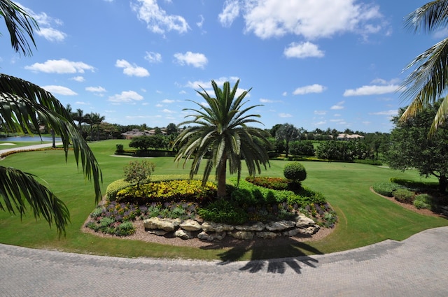 view of property's community with a yard