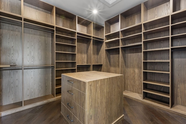 spacious closet featuring dark hardwood / wood-style flooring