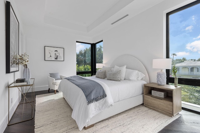 bedroom featuring a tray ceiling and dark hardwood / wood-style floors