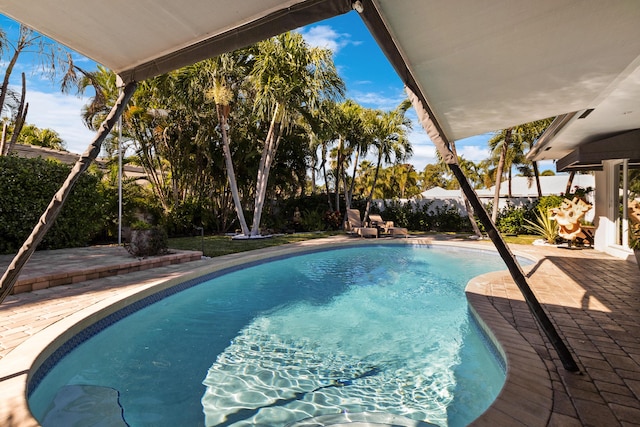 view of swimming pool with a patio