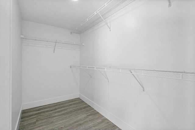 walk in closet with hardwood / wood-style floors