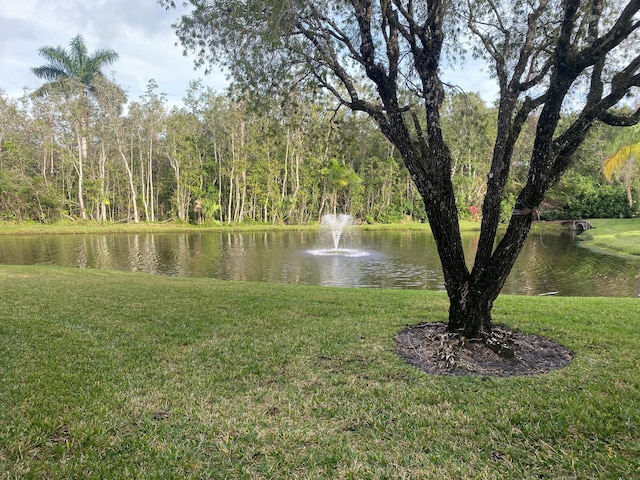 property view of water