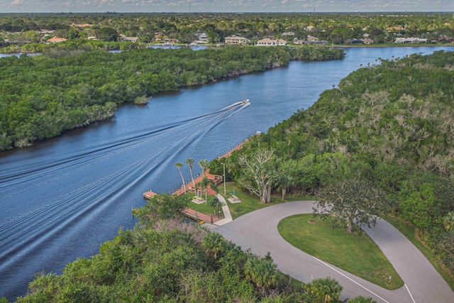 drone / aerial view featuring a view of trees and a water view