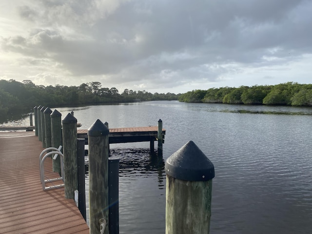 dock area with a water view