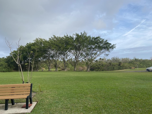 view of home's community with a yard