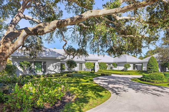 ranch-style house featuring a front yard