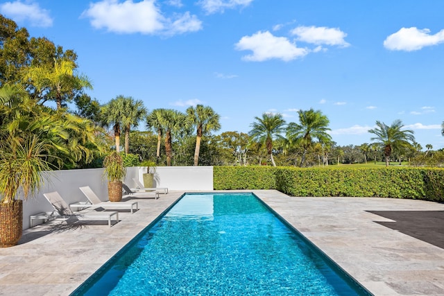 view of swimming pool featuring a patio