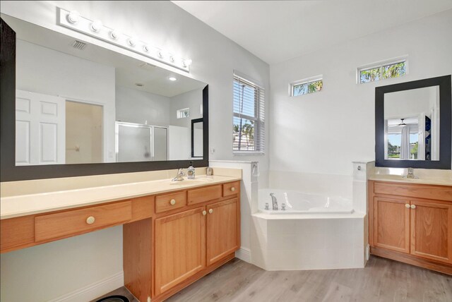 bathroom featuring vanity and separate shower and tub