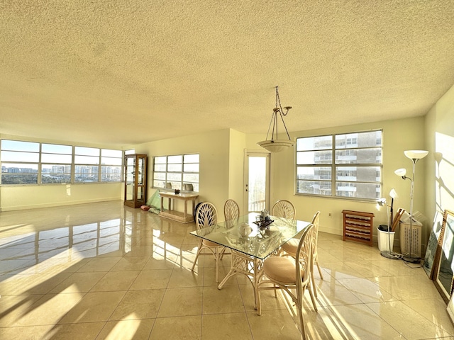 dining space featuring a textured ceiling and plenty of natural light