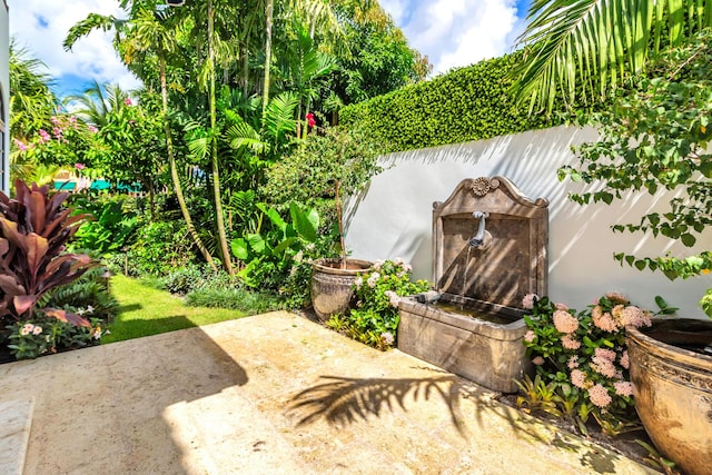 view of yard with a patio