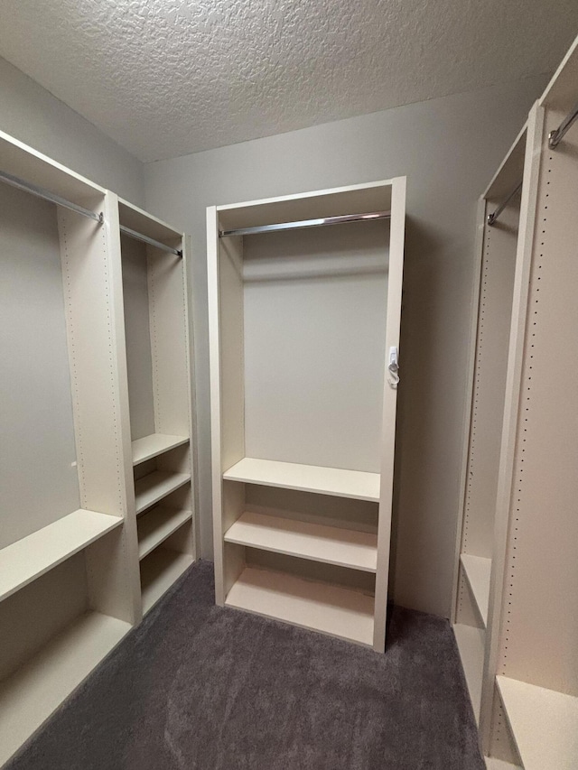 walk in closet featuring dark colored carpet