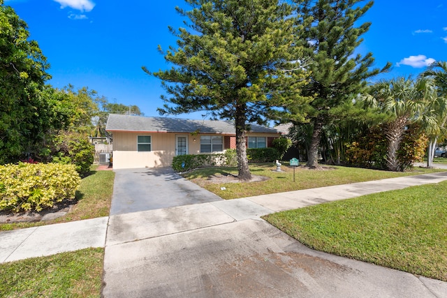 ranch-style home with a front lawn