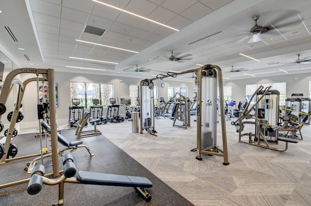 gym with a paneled ceiling, light colored carpet, and ceiling fan