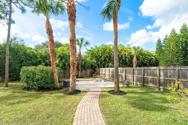 view of yard featuring a patio area