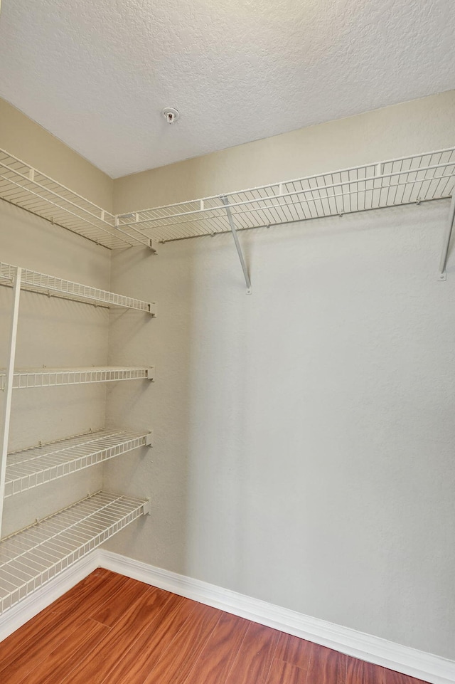 spacious closet with wood-type flooring