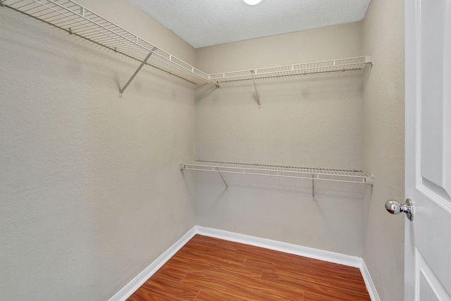 walk in closet with hardwood / wood-style floors