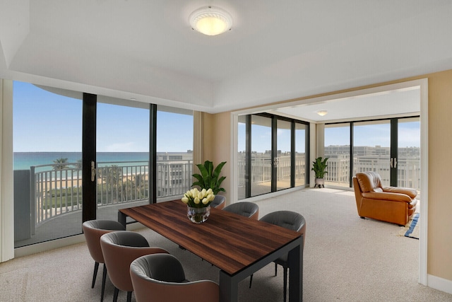 dining area featuring carpet flooring and a water view