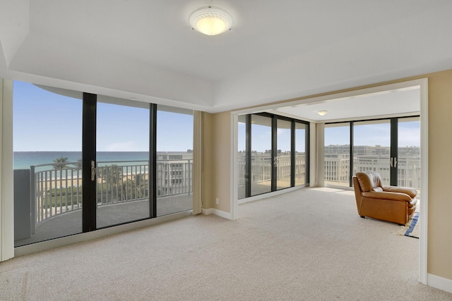 carpeted living room featuring a water view and a healthy amount of sunlight