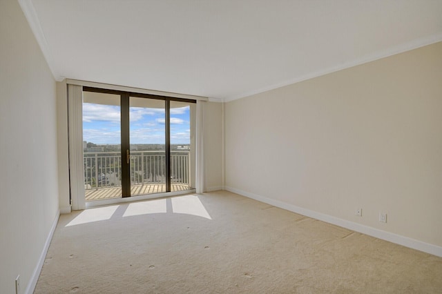 empty room featuring floor to ceiling windows, light colored carpet, and ornamental molding