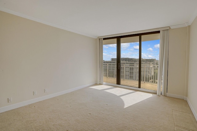 spare room with a wall of windows, ornamental molding, and light carpet