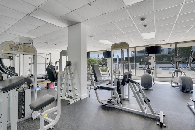 workout area with a paneled ceiling and expansive windows