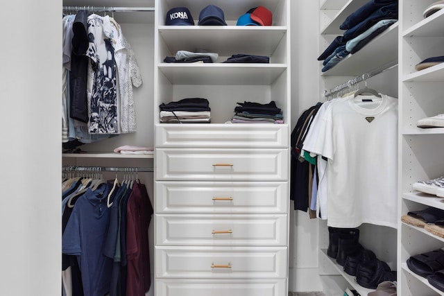 view of spacious closet