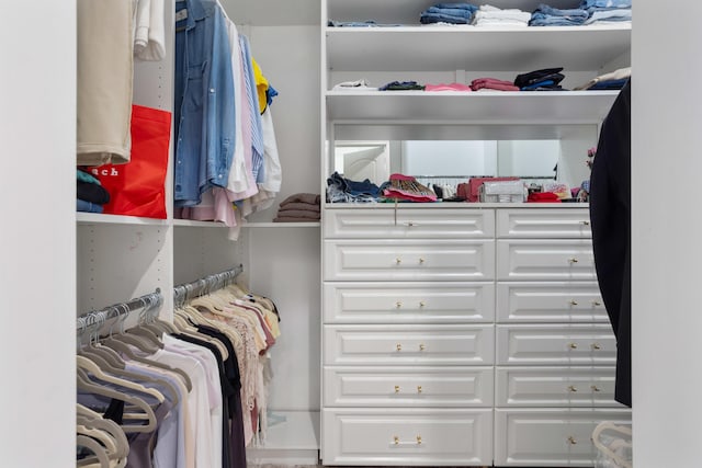 view of walk in closet