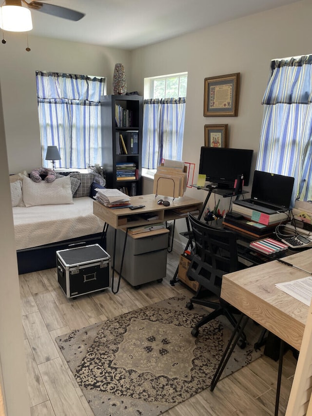 office space with light wood-type flooring and ceiling fan