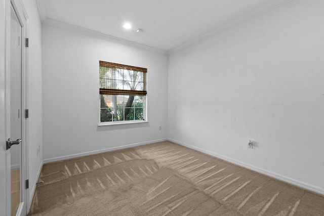 spare room featuring carpet floors and crown molding